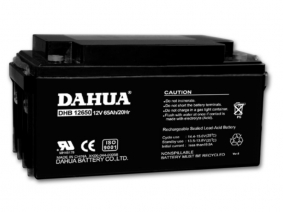 DHB12650